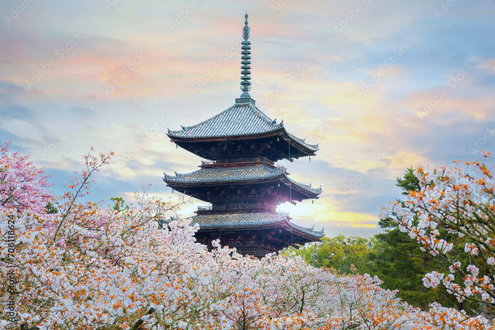 Ninna-ji Temple in Kyoto, Japan during beautiful full bloom cherry blossom season Ninna-ji Temple in Kyoto, Japan during beautiful full bloom cherry blossom season