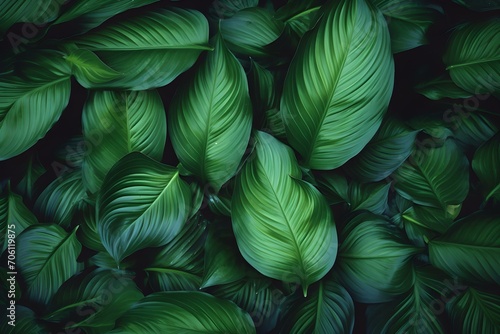 Lush Green Leaves, Nature’s Beauty Unleashed © DavidGalih | Dikomo.