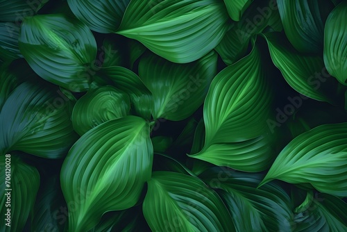 Lush Green Leaves  Nature   s Beauty Unleashed