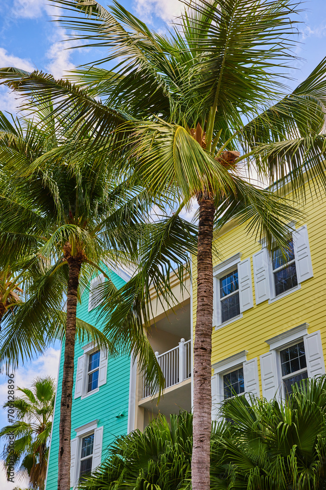 Tropical Resort Vibe with Colorful Building and Palm Trees
