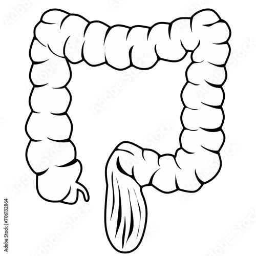 Large intestine vector icon isolated on white background, Vector illustration