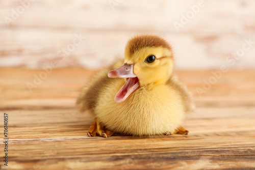Cute duckling on wooden table