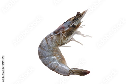 Fresh shrimp tails isolated. Raw headless prawn, pacific shrimp, uncooked tiger prawns, jumbo seafood on white plate on isolated background 