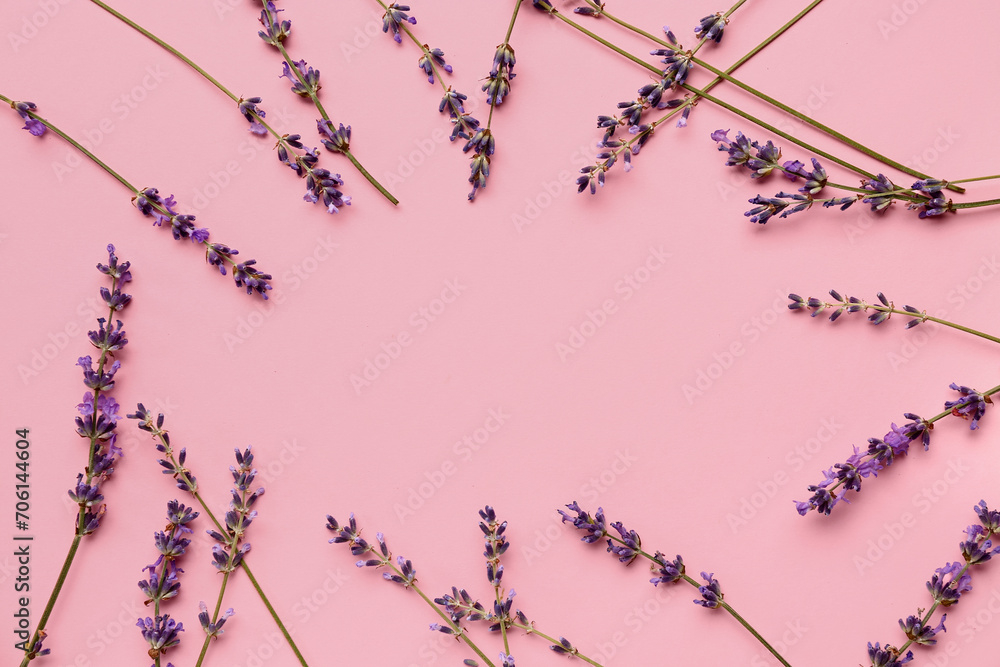 Frame made of beautiful lavender flowers on pink background Frame made of beautiful lavender flowers on pink background