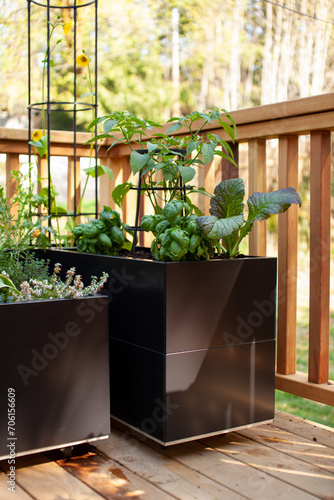 Herbs and vegetables grow in black metal planters on a sunny patio, creating a garden in a small space.