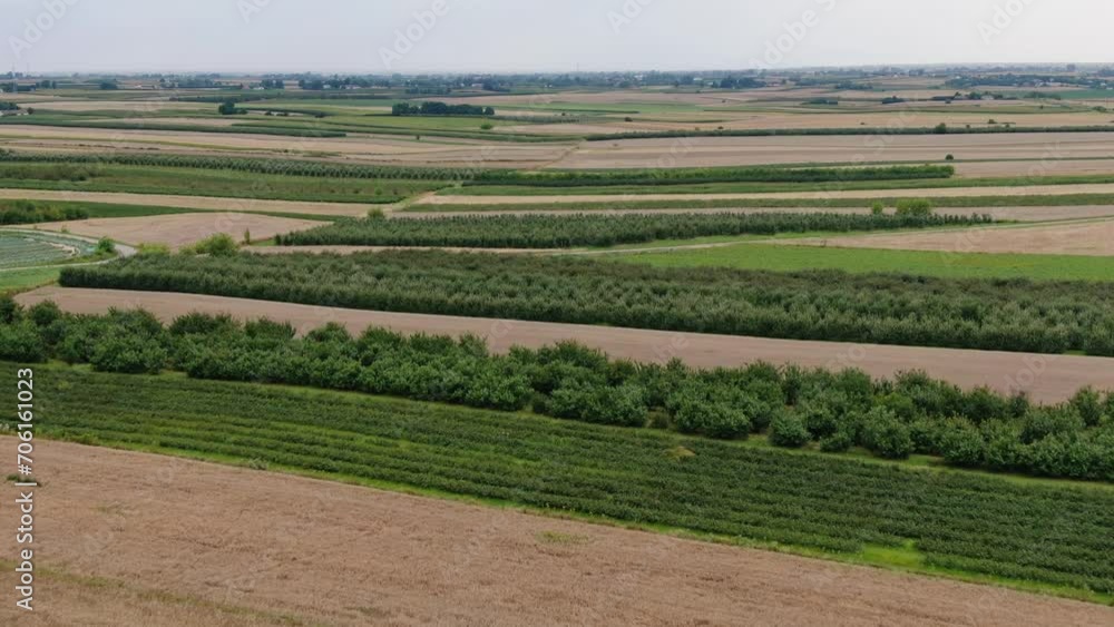Idyllic orchards and farmlands in southern Poland, aerial view of patchwork landscape Idyllic orchards and farmlands in southern Poland, aerial view of patchwork landscape