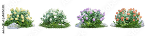Hydrangea Arborescens isolate transparent background.3d rendering PNG
