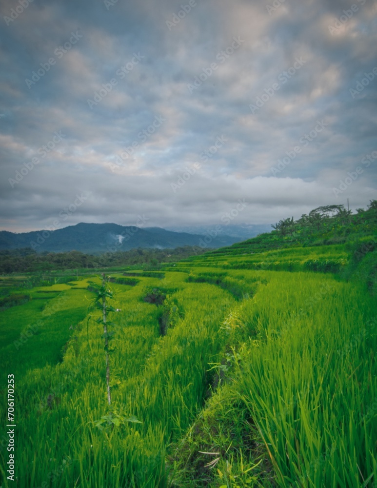 charming views of rice terraces and mountains charming views of rice terraces and mountains