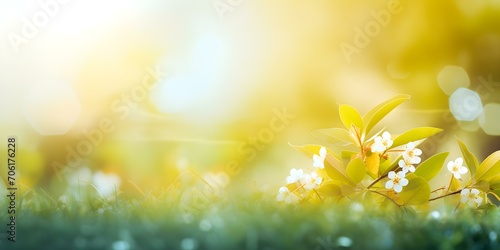 Sunlit Meadow: A Harmony of Nature’s Beaut © DavidGalih | Dikomo.