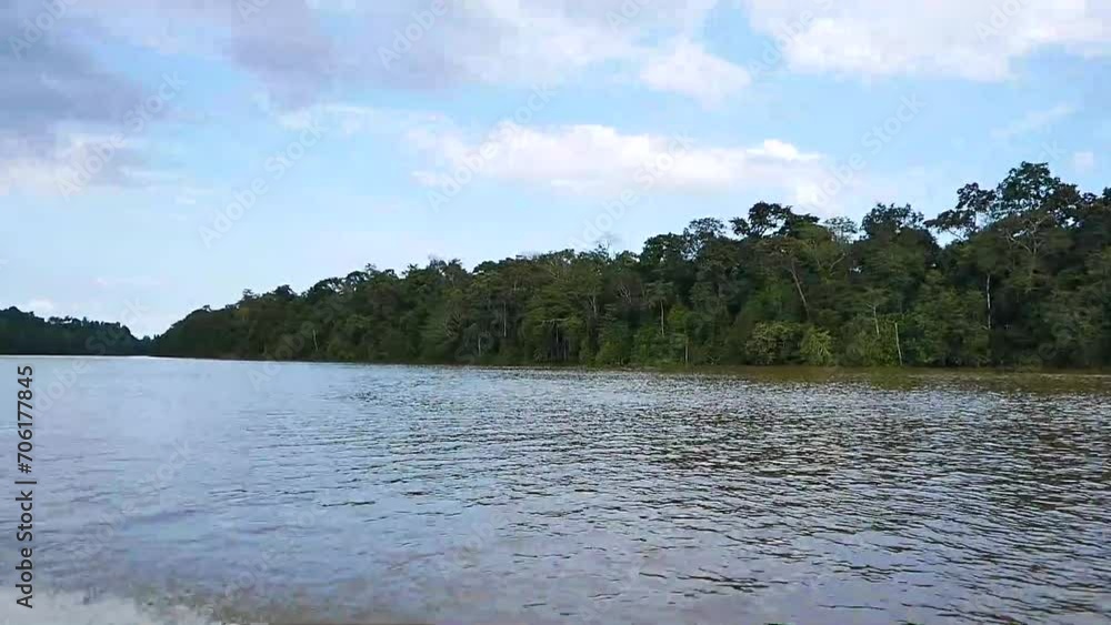 The Kinabatangan river is one of the best and most easily accessible places to see wildlife in Asia! Including so much of Sabah's most sought after wildlife: Orang-utans, proboscis monkeys. The Kinabatangan river is one of the best and most easily accessible places to see wildlife in Asia! Including so much of Sabah's most sought after wildlife: Orang-utans, proboscis monkeys.