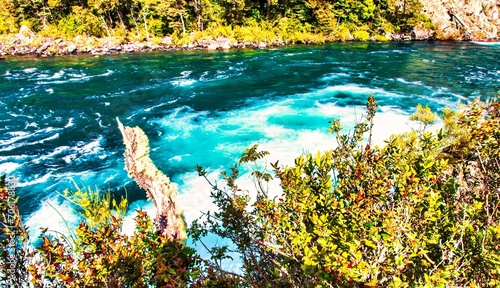 Puerto Varas  Chile - November 10 2014   the wild petrohue river or stream with water falls  cascades and rocks in the mountains of southern Chile