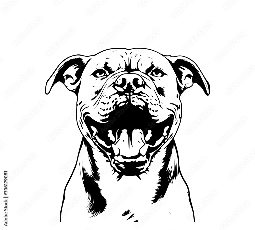 Pit Bull dog vector hand drawn