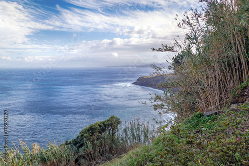 View of the rough coast of Sao Miguel (Azores, Portugal)