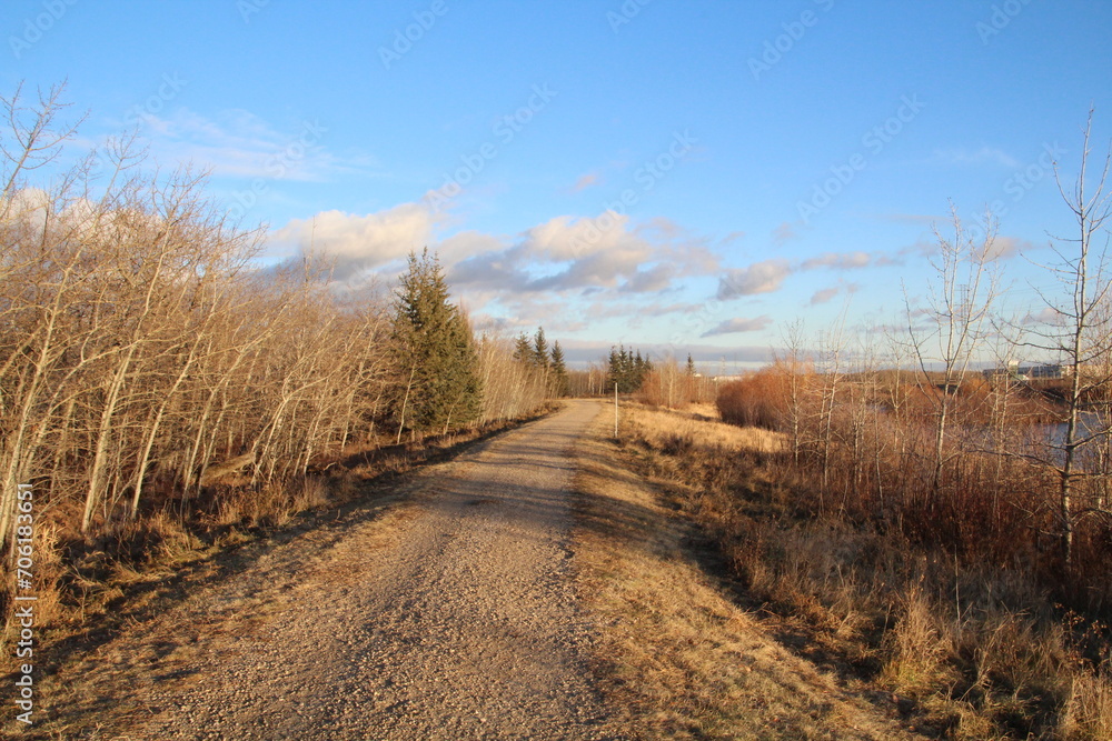 Warm Autumn Trail, Pylypow Wetlands, Edmonton, Alberta Warm Autumn Trail, Pylypow Wetlands, Edmonton, Alberta