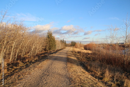 Warm Autumn Trail  Pylypow Wetlands  Edmonton  Alberta