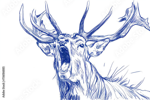 drawing a deer stroke style