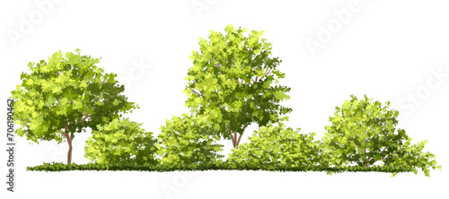 Vertor set of green tree plants side view for landscape elevations element for backdrop eco environment concept design watercolor greenery scene
