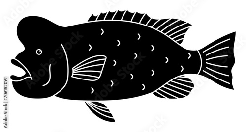 コブダイのシルエット