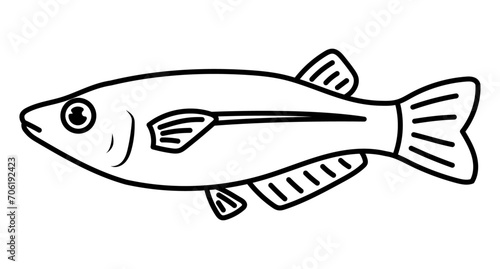 メダカ