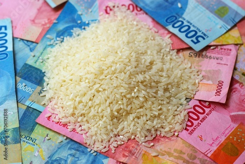 Rice on heap of money, concept of increase groceries price, farmers harvest profit, rice import