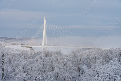 The Tana Bru Bridge over the Tana River in the Northern Norway on a very cold winter day