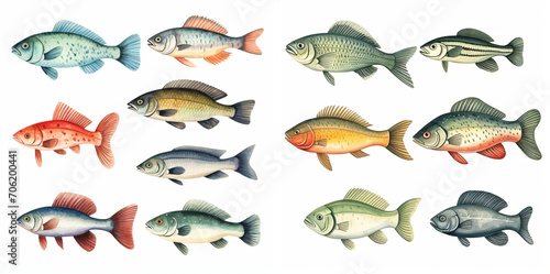 Assorted Watercolor Fish Collection - Vintage Style Illustration