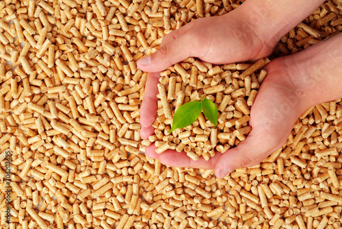 Fotografia Human hands holding wooden pellets biofuel studio shot
