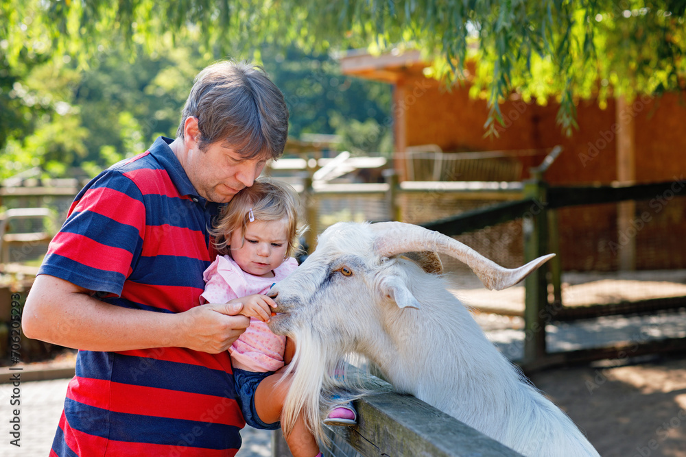 Adorable cute toddler girl and young father feeding little goats and sheeps on a kids farm. Beautiful baby child petting animals in petting zoo. man and daughter together on family weekend vacations. Adorable cute toddler girl and young father feeding little goats and sheeps on a kids farm. Beautiful baby child petting animals in petting zoo. man and daughter together on family weekend vacations.