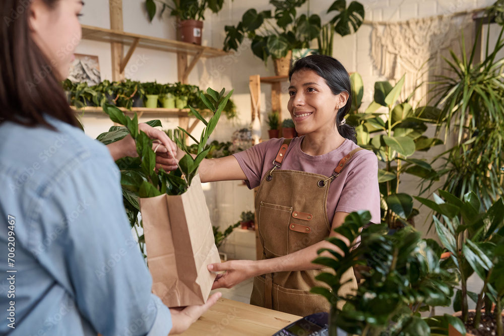 Obraz premium Cheerful hispanic woman passing paper bag with bought plant to unrecognizable female customer