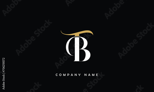 BT, TB, B, T Abstract Letters Logo Monogram