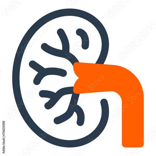 Kidneys System Vector Icon Illustration