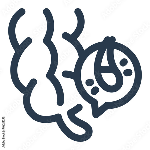Anatomical Appendix Vector Icon Illustration