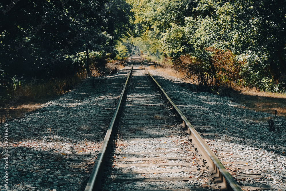 Obraz premium 古い鉄道が走っていました