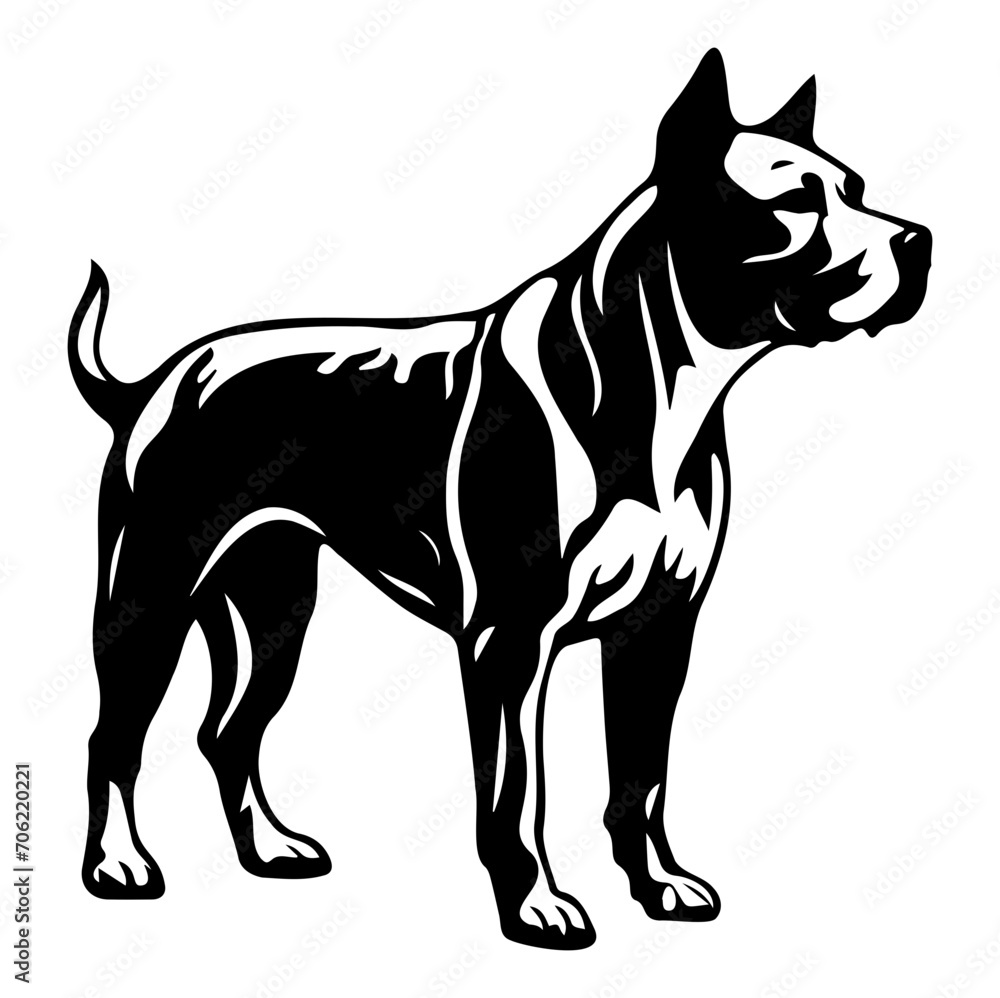 Standing american pit bull terrier dog, american pit bull terrier Dog monochrome clip art. Vector illustration