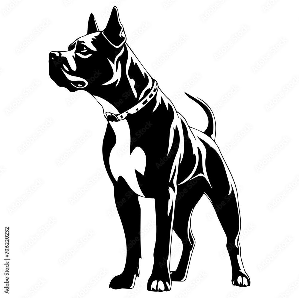 Standing american pit bull terrier dog, american pit bull terrier Dog monochrome clip art. Vector illustration