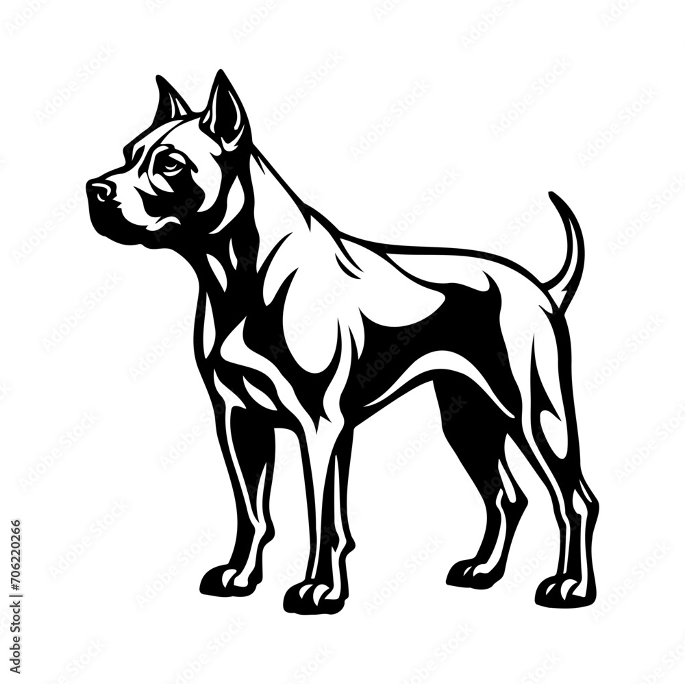 Standing american pit bull terrier dog, american pit bull terrier Dog monochrome clip art. Vector illustration