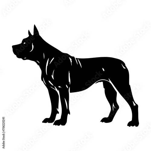 Standing american pit bull terrier dog  american pit bull terrier Dog monochrome clip art. Vector illustration