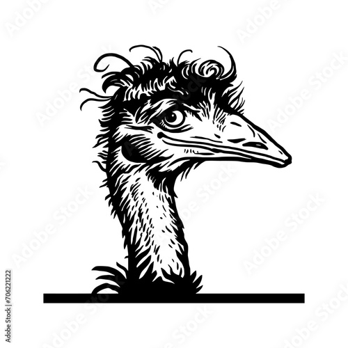 Peeking ostrich Emu Stencil - Peeking Animal Cut file  Funny Animal Stencil