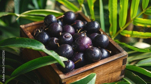  a close up of a box of plums on a table with green leaves and a bush in the background.