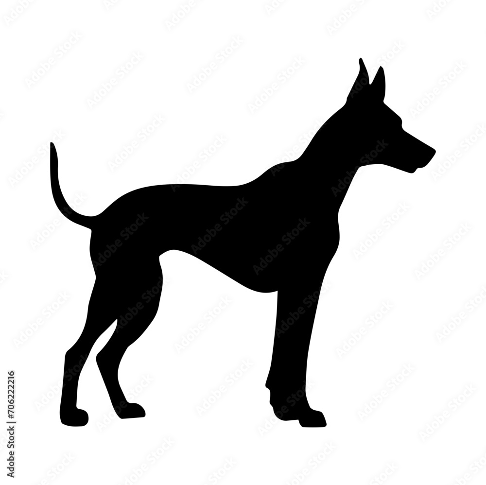 doberman pincher dog, doberman pincher Dog monochrome clip art. Vector illustration