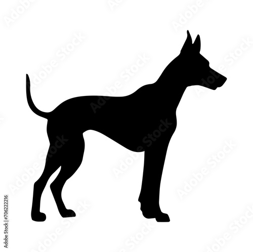 doberman pincher dog  doberman pincher Dog monochrome clip art. Vector illustration