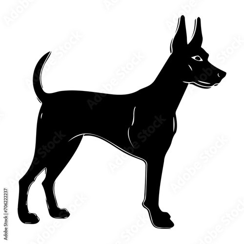 doberman pincher dog  doberman pincher Dog monochrome clip art. Vector illustration