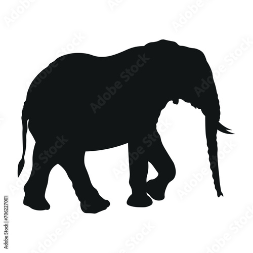 Silhouette Elephant World Wildlife Day
