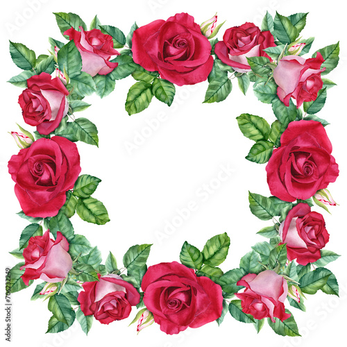 Square frame with red flower rose blooms, leaves and buds. Hand drawn watercolor illustration isolated on white. For clip art cards invitation greeting label