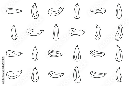 Vegetable marrow icons set outline vector. Agriculture zucchini. Squash diet fresh