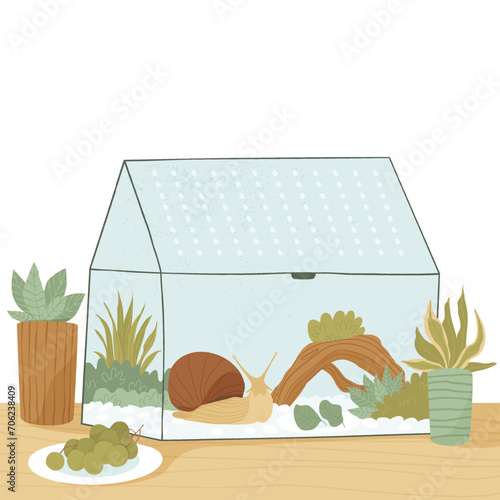 The pet snail lives in a garden created especially for it. House with snail, cute pet. Slow sloth friend lives in his house. Flat vector illustration