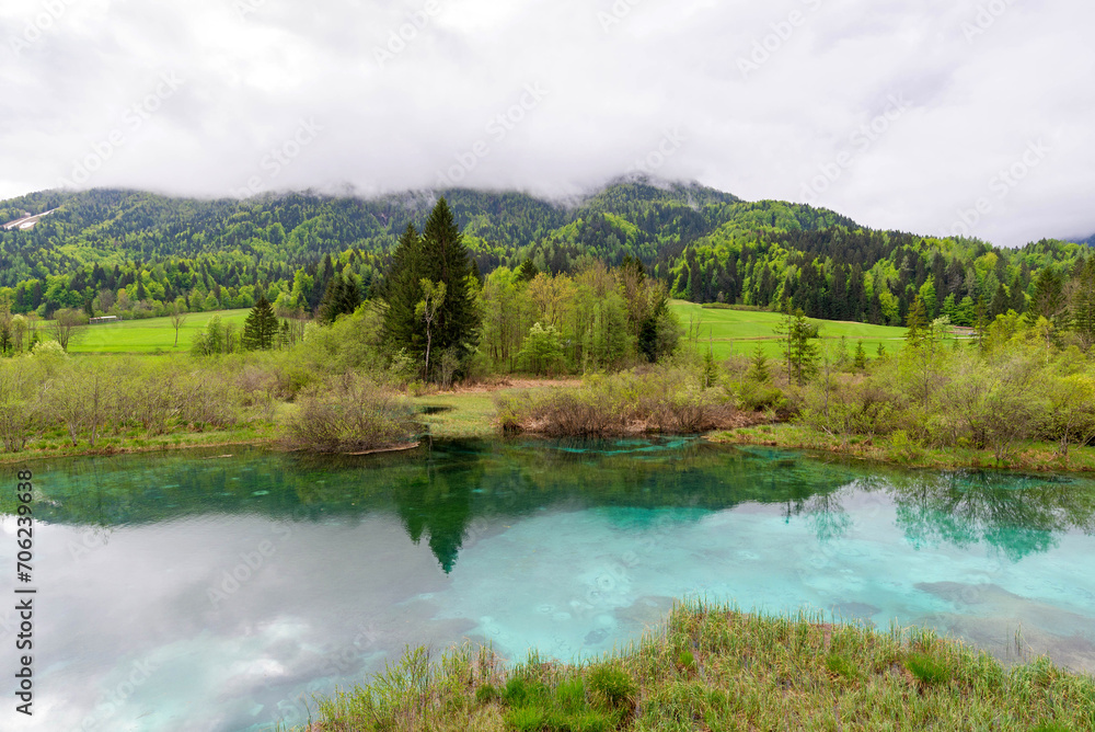 Spring landscape of a clear lake and mountains. Nature Reserve Zelenci, krajnska gora, Slovenia, Europe. Travel Slovenia Spring landscape of a clear lake and mountains. Nature Reserve Zelenci, krajnska gora, Slovenia, Europe. Travel Slovenia