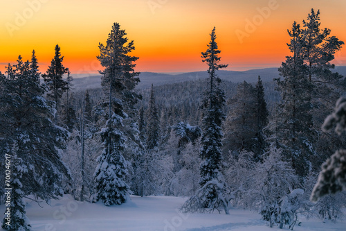 Lapland in winter with large amount of snow during sunrise