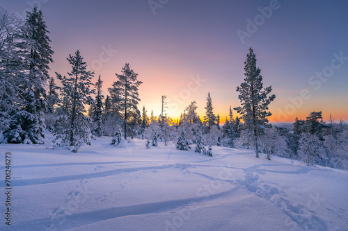 Lapland in winter with large amount of snow during sunrise