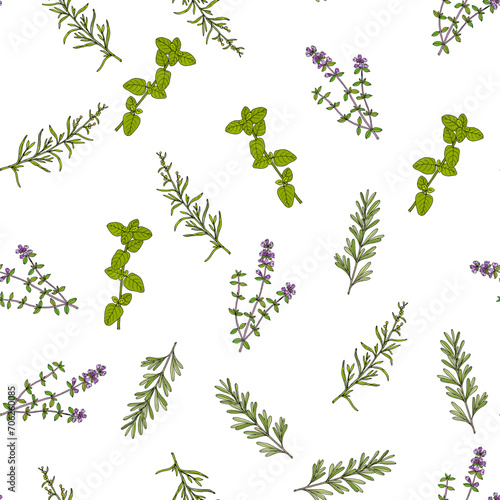 Seamless pattern with rosemary herb